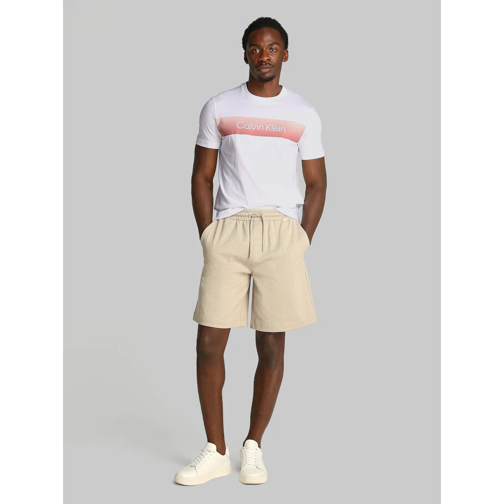 Calvin Klein T-Shirt »LINEAR OMBRE CHEST LOGO T-SHIRT« Mit Ombré-Logo-Druck ▷ Kaufen