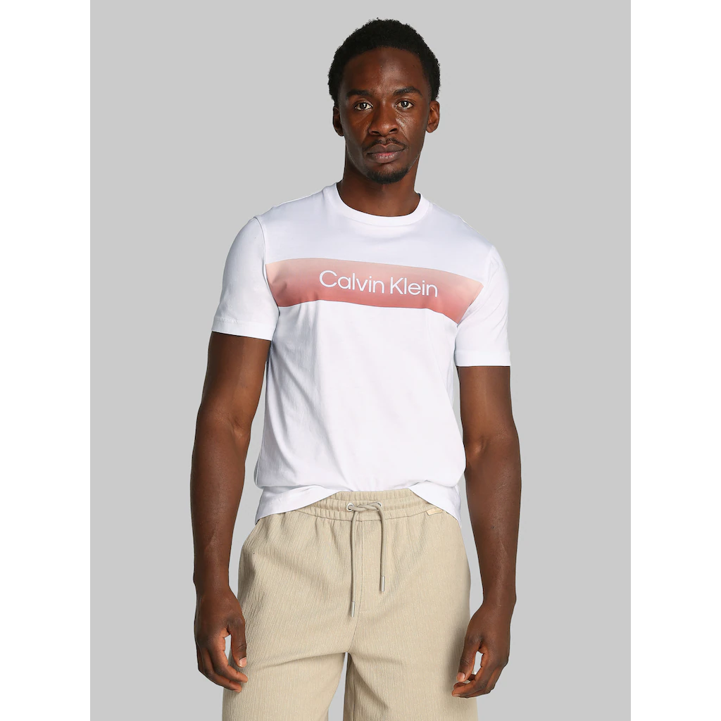 Calvin Klein T-Shirt »LINEAR OMBRE CHEST LOGO T-SHIRT« mit Ombré-Logo-Druck ▷ kaufen