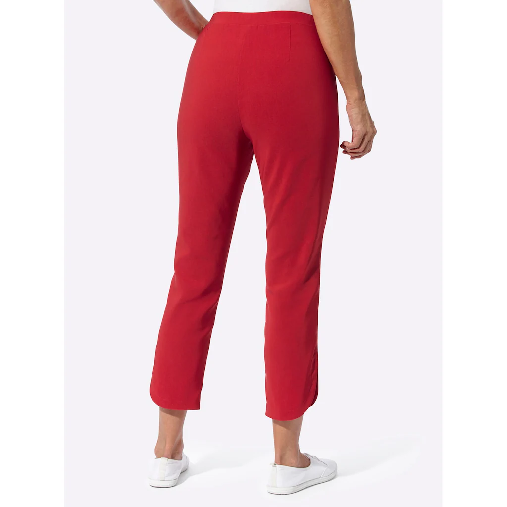 Classic Basics 7/8-Hose