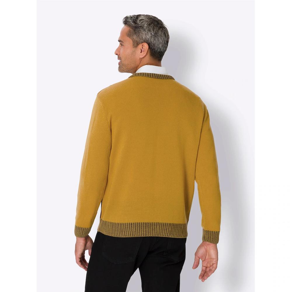 Classic Rundhalspullover »Rundhals-Pullover« ▷ Kaufen