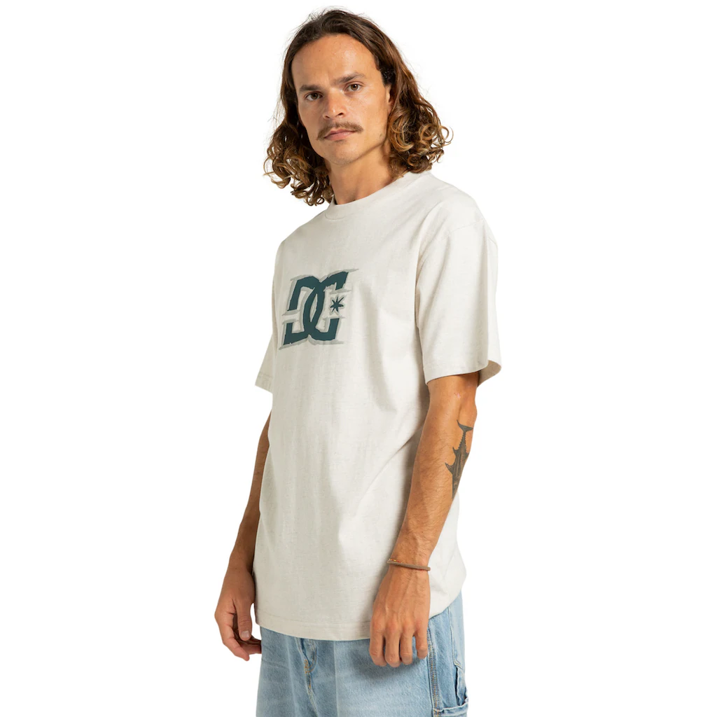 DC Shoes T-Shirt »Big Deal Star« ▷ Für