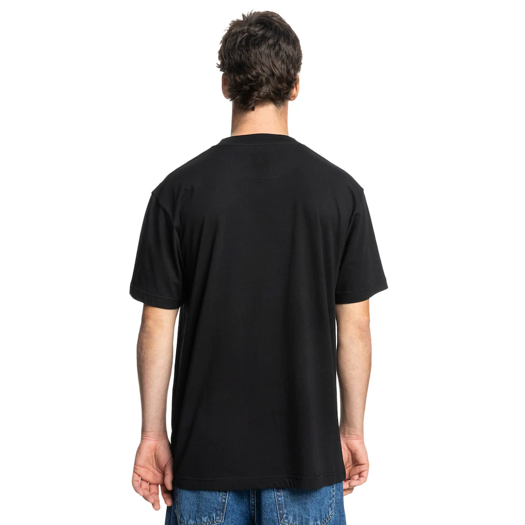 DC Shoes T-Shirt »DC Star Skully« ▷ Kaufen