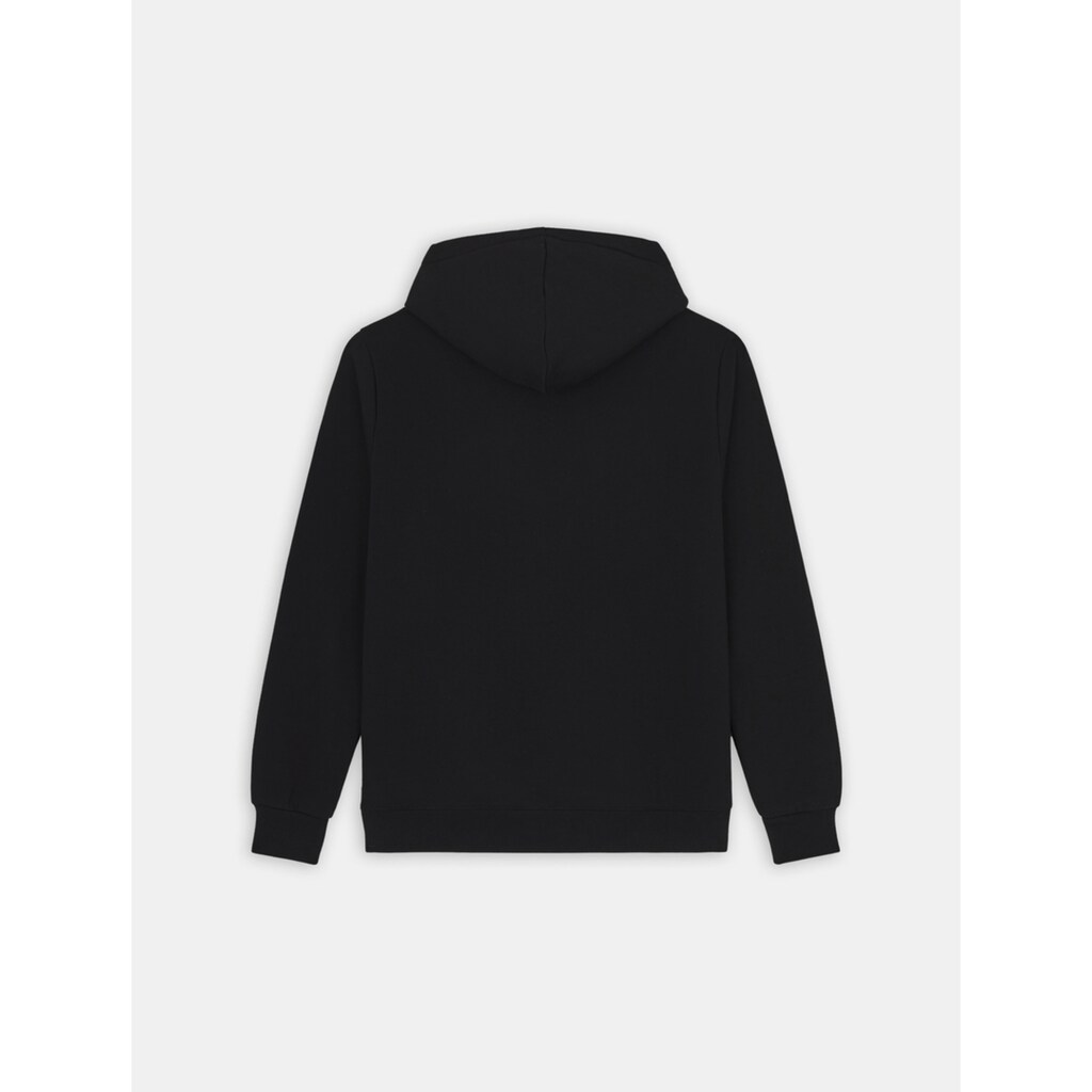 Dickies Kapuzensweatshirt »Dickies Workwear Sweatshirt ICON LOGO HOODIE« ▷ Bestellen
