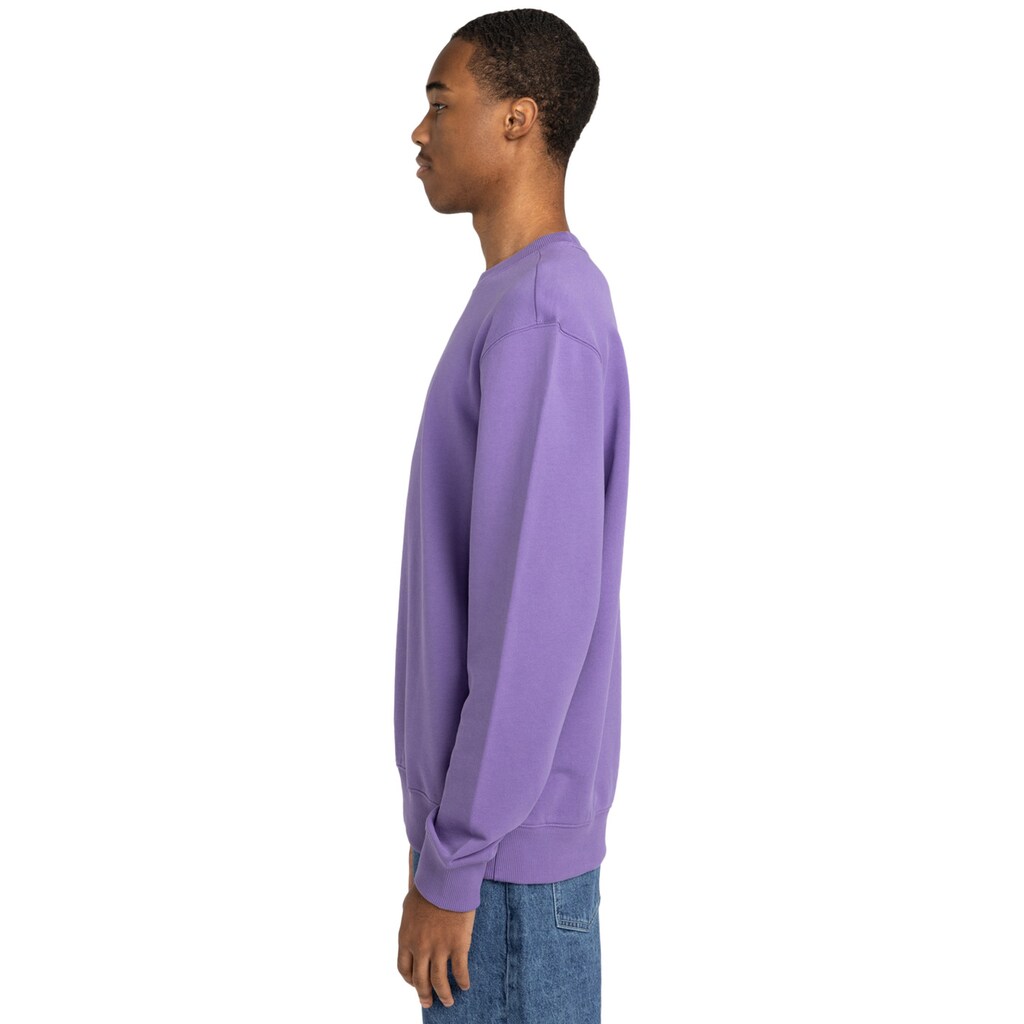Element Sweatshirt »Dual« ▷ Für