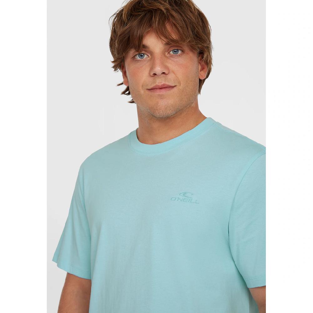 O'Neill T-Shirt »Small Logo T-Shirt« ▷ Für
