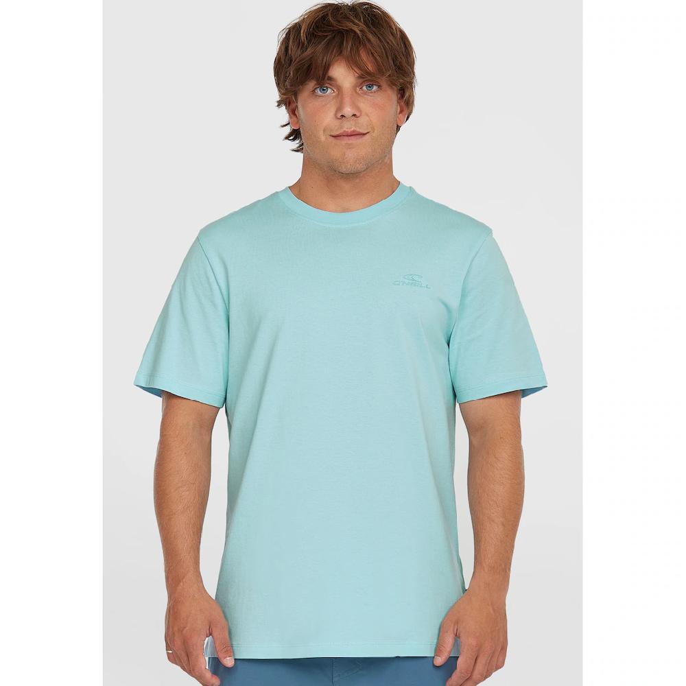 O'Neill T-Shirt »Small Logo T-Shirt« ▷ für