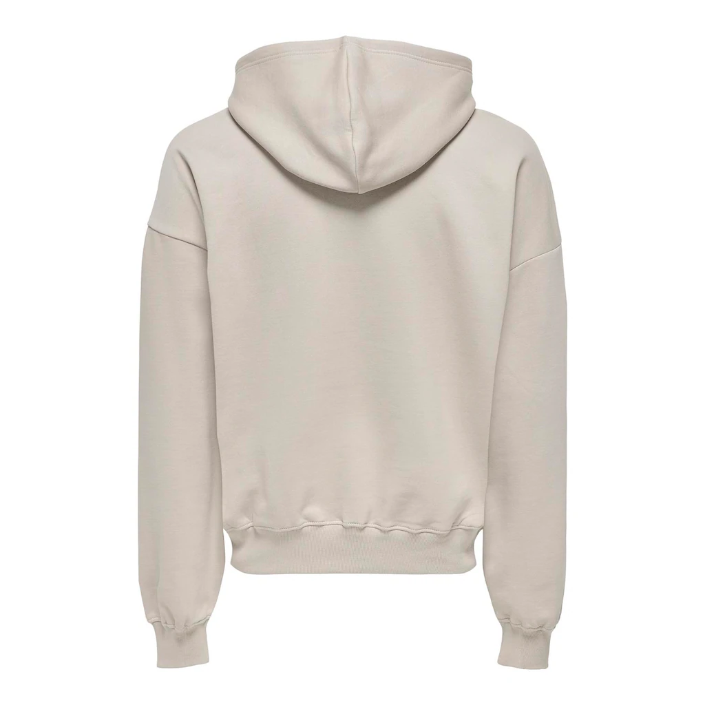 ONLY & SONS Kapuzensweatshirt »ONSTURNER LIFE VTG HOODIE SWEAT« ▷ Bestellen