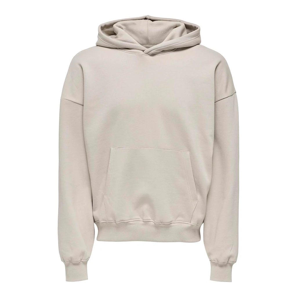 ONLY & SONS Kapuzensweatshirt »ONSTURNER LIFE VTG HOODIE SWEAT« ▷ bestellen