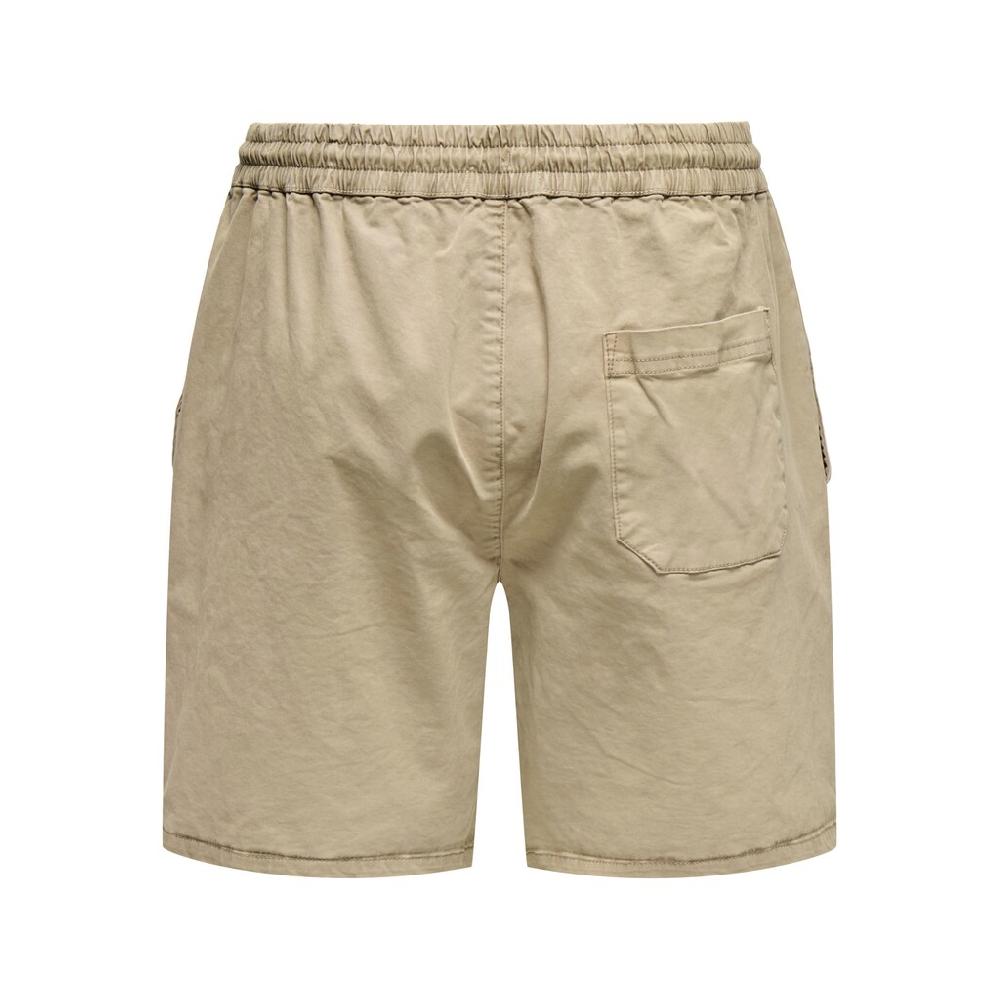 ONLY & SONS Shorts »ONSTEL WASHED 0244 SHORTS«