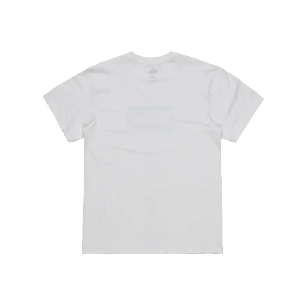 Quiksilver T-Shirt »Ev Gradient Box« ▷ Kaufen