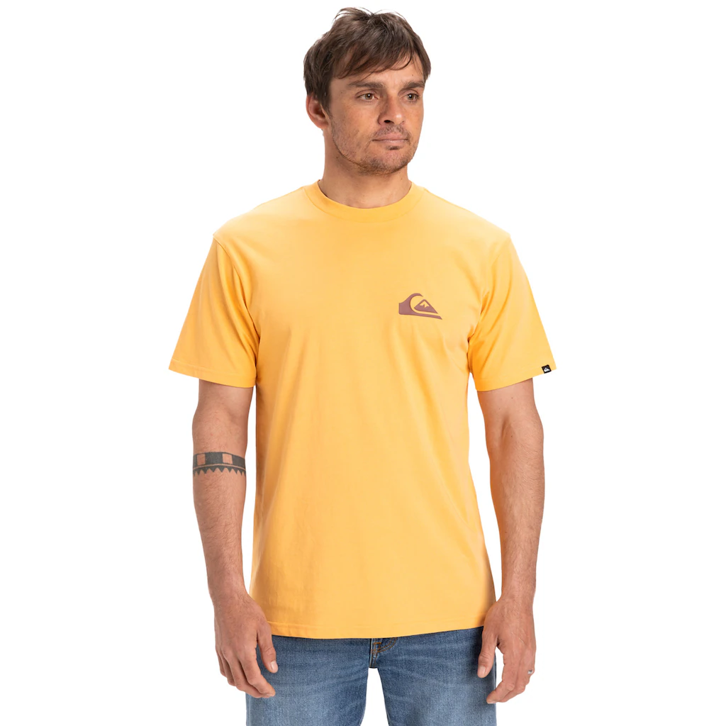 Quiksilver T-Shirt »Ev Mini Logo« ▷ Bestellen