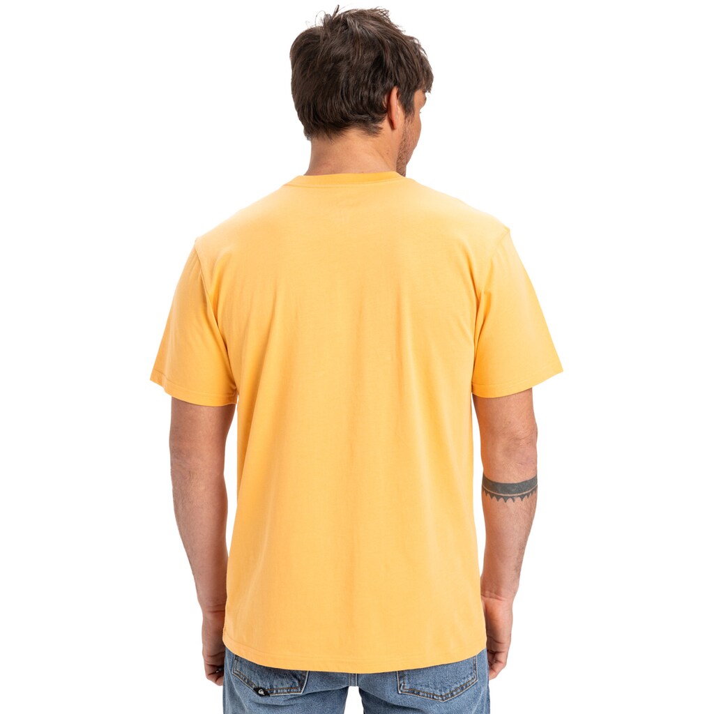 Quiksilver T-Shirt »Ev Mini Logo« ▷ Bestellen