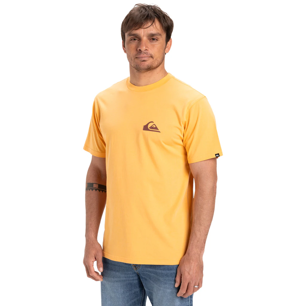 Quiksilver T-Shirt »Ev Mini Logo« ▷ Bestellen