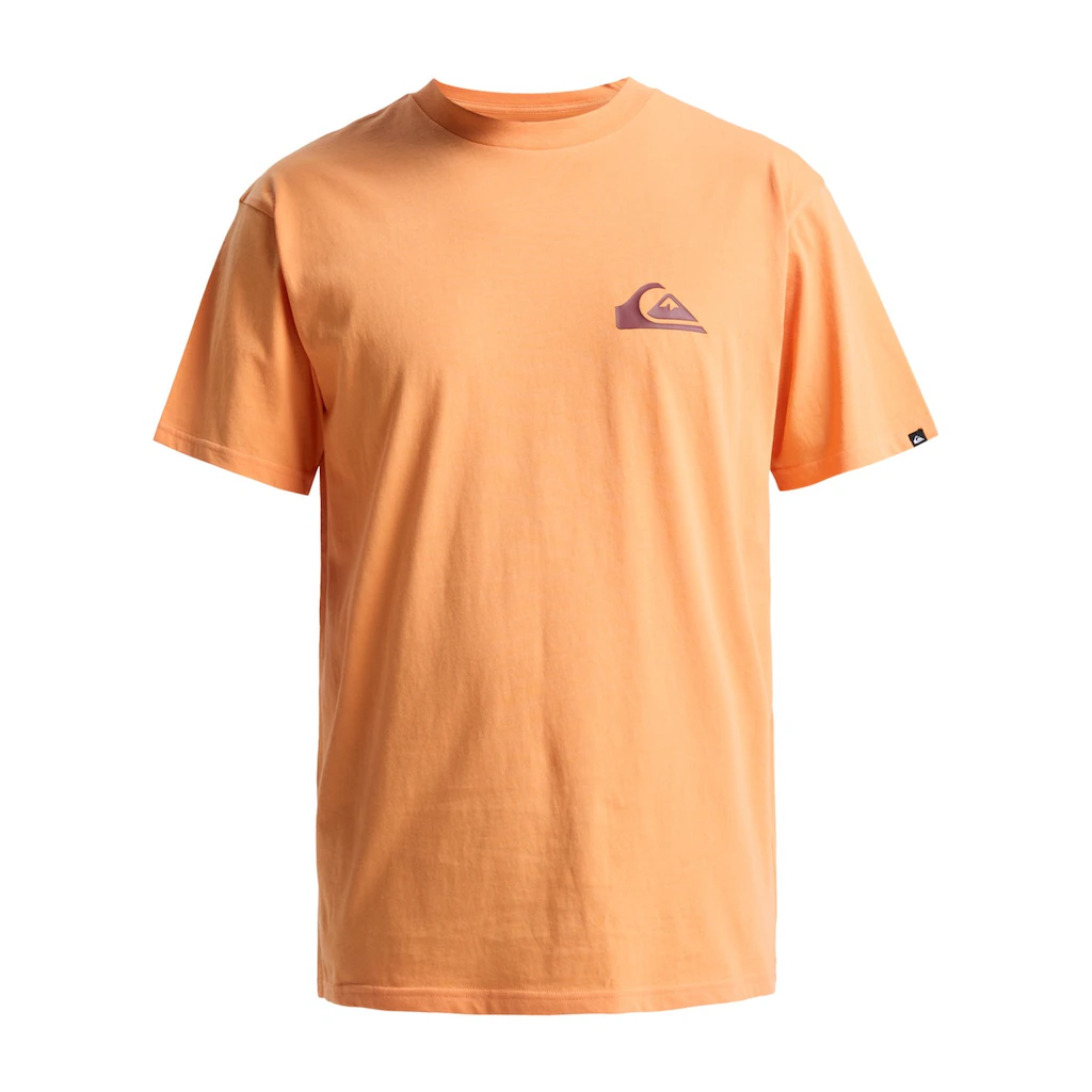 Quiksilver T-Shirt »Ev Mini Logo« ▷ bestellen