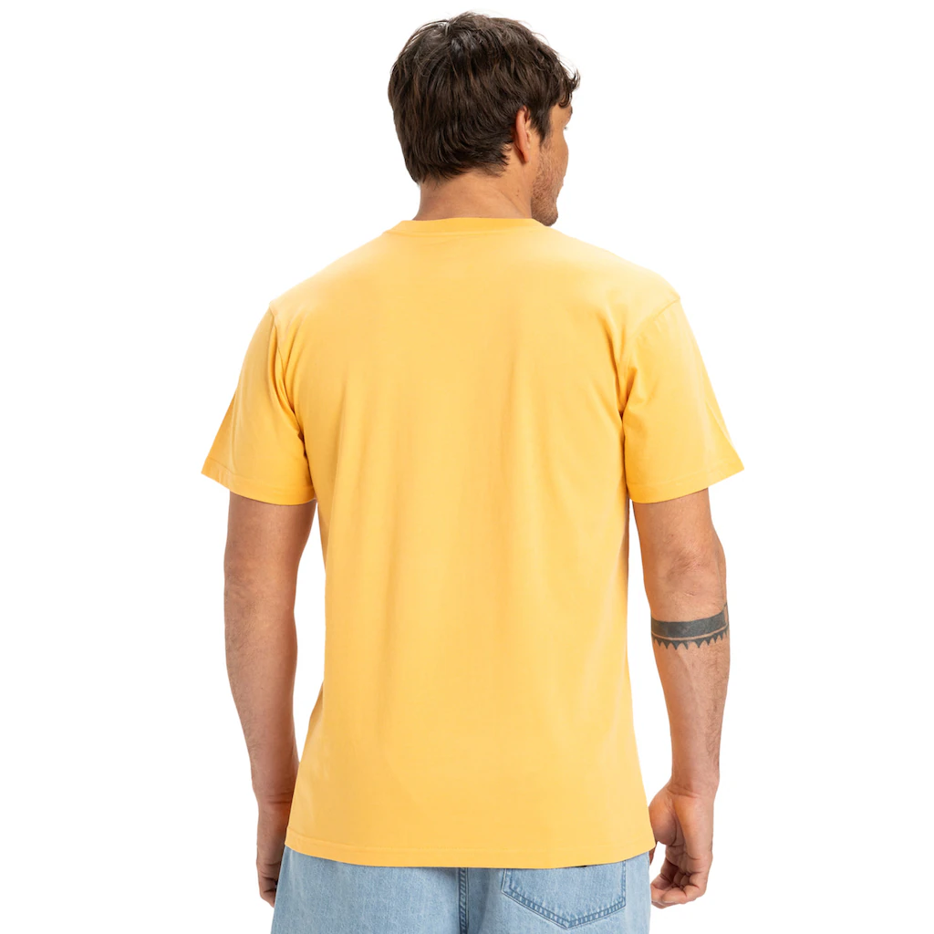 Quiksilver T-Shirt »Ev Sun Dagger« ▷ Für