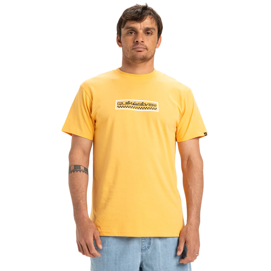 Quiksilver T-Shirt »Ev Sun Dagger« ▷ für