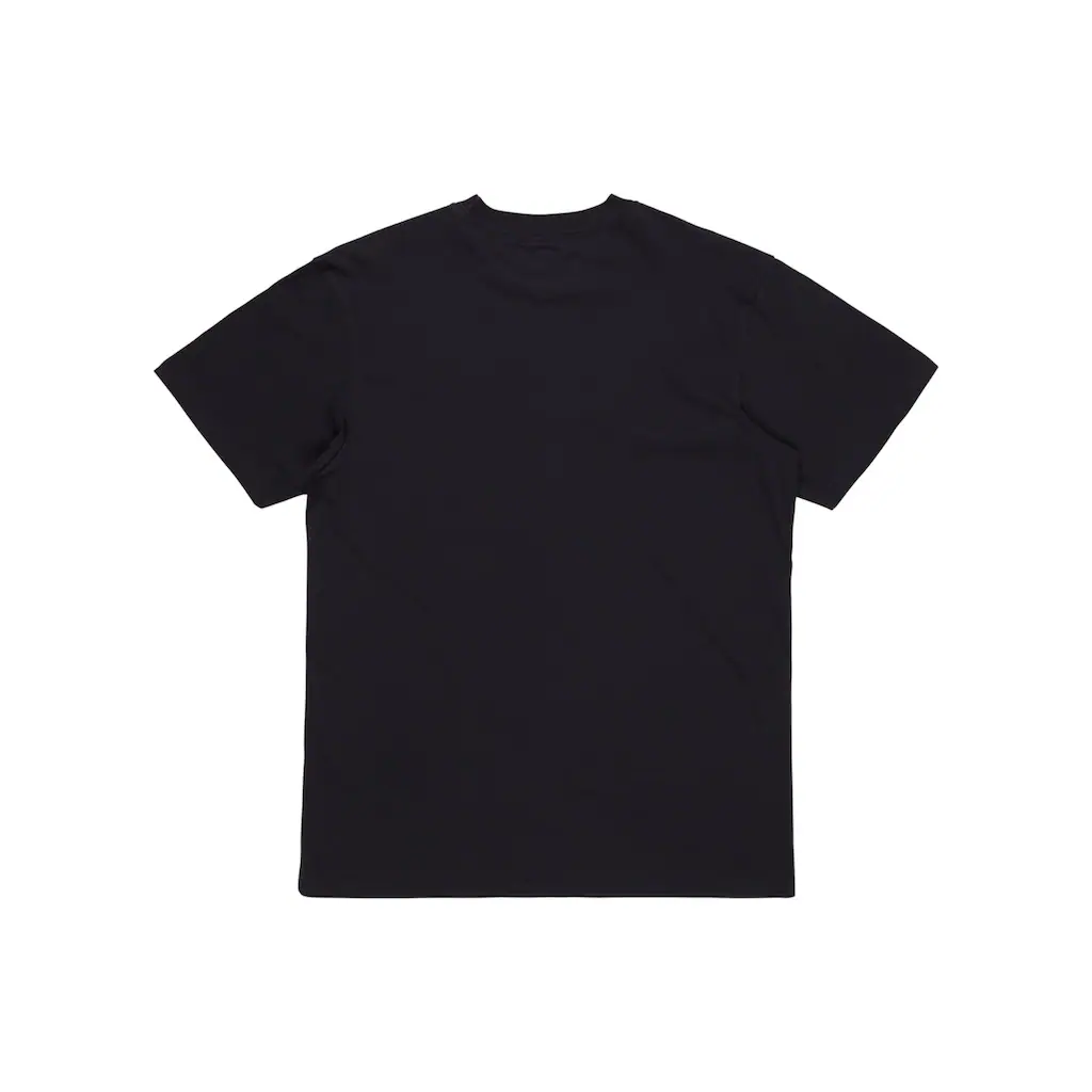 Quiksilver T-Shirt »Ev Three Seas« ▷ Bestellen