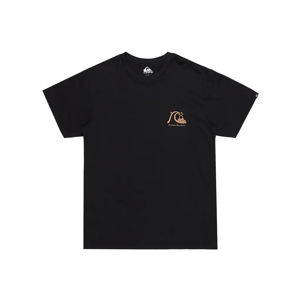Quiksilver T-Shirt »Evo Original« ▷ kaufen