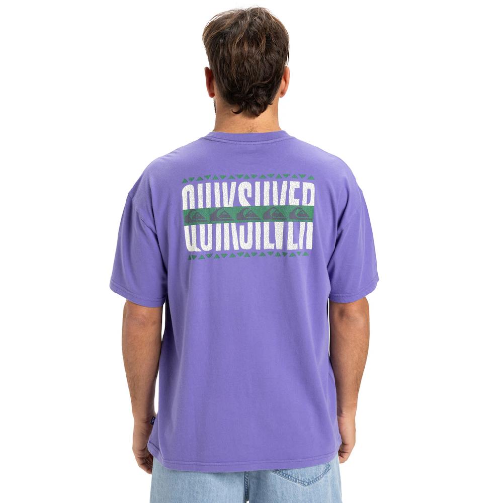 Quiksilver T-Shirt »World Force«