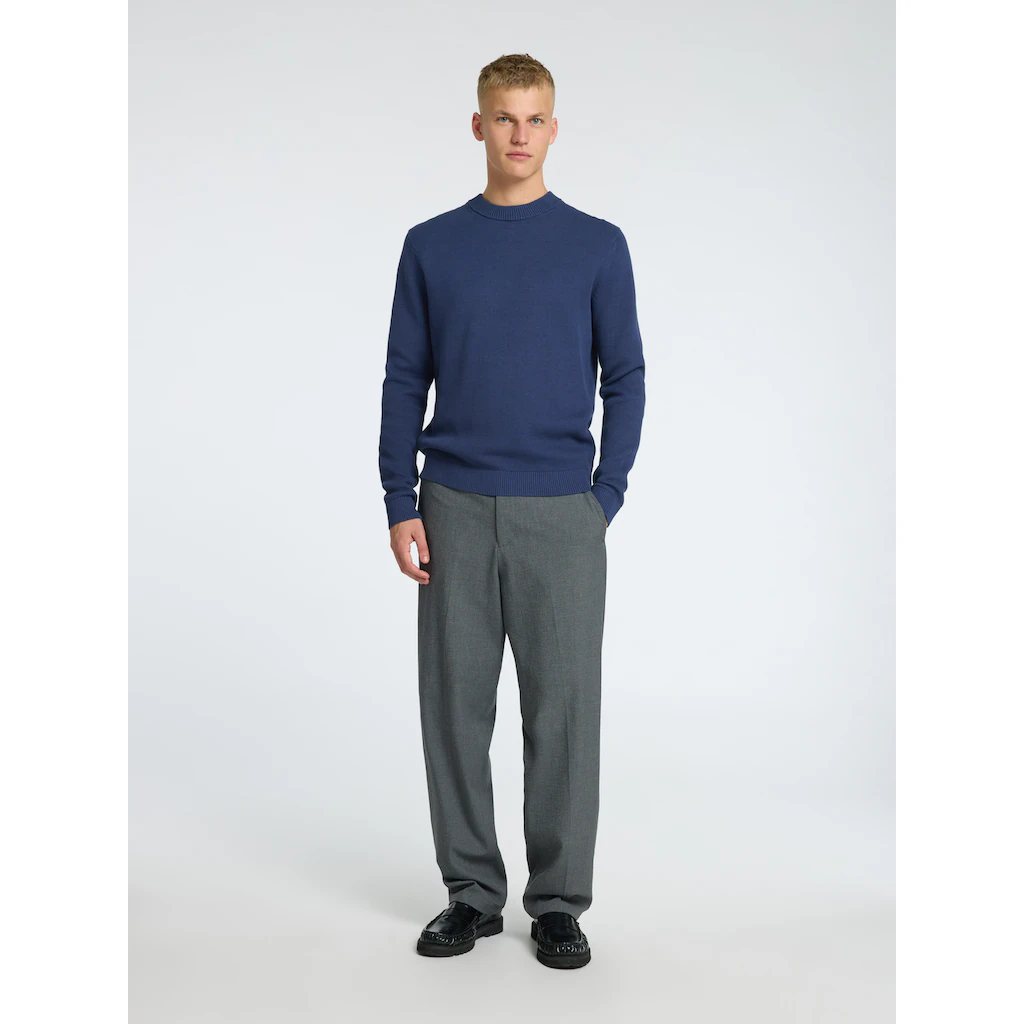 SELECTED HOMME Rundhalspullover »SLHDANE LS KNIT STRUCTURE CREW NECK NOOS« ▷ Für