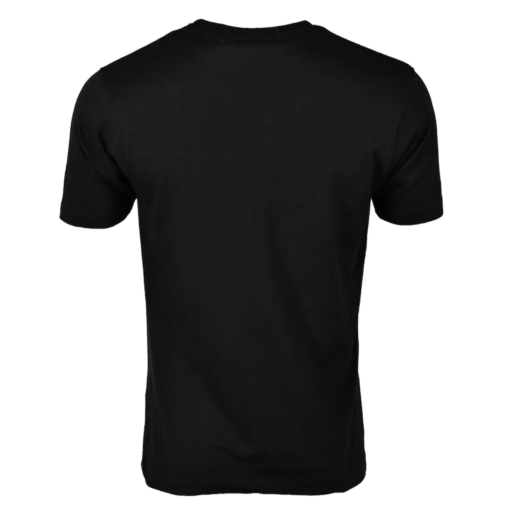 TOP GUN T-Shirt »TG20213030« ▷ Kaufen
