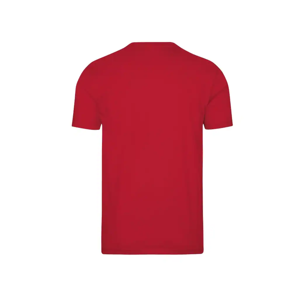 Trigema T-Shirt »TRIGEMA V-Shirt DELUXE« (1 Tlg.)