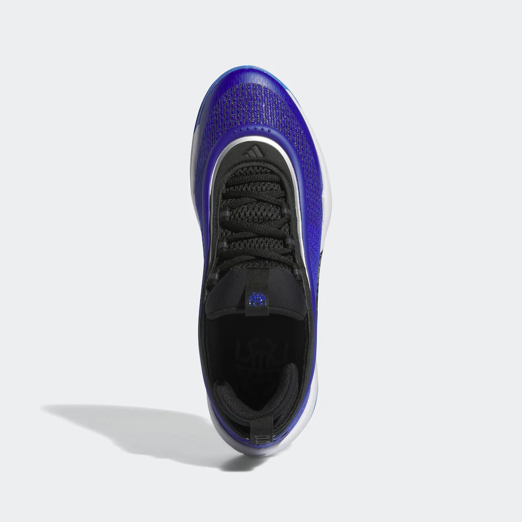 Adidas Performance Basketballschuh »D.O.N. ISSUE #6 BLUE« Auf Rechnung
