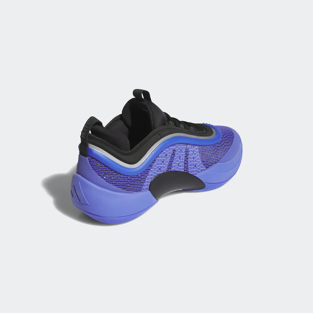 Adidas Performance Basketballschuh »D.O.N. ISSUE #6 LIKE WATER« Auf Rechnung Kaufen
