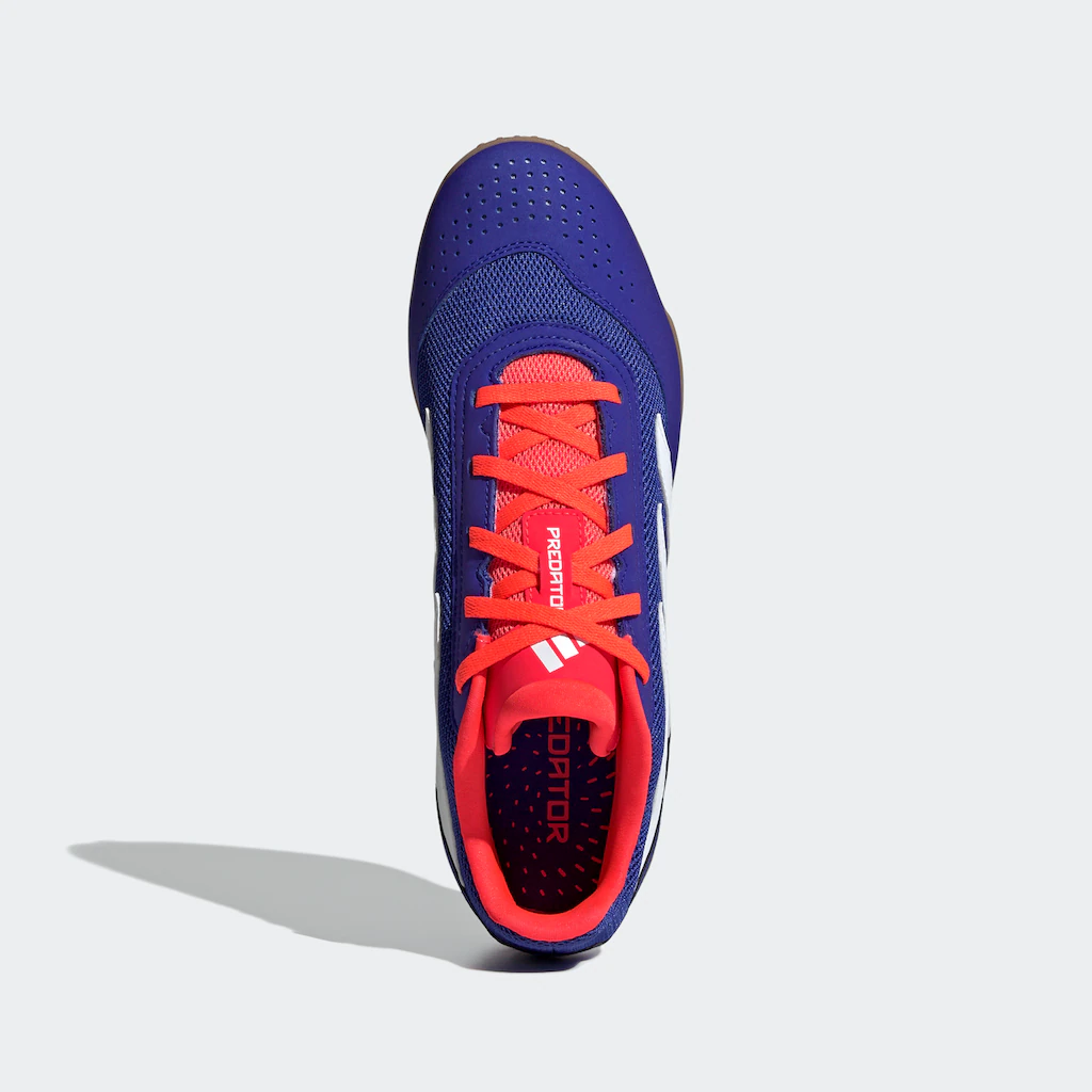 Adidas Performance Fußballschuh »PREDATOR CLUB SALA IN« Auf Rechnung Online Bestellen