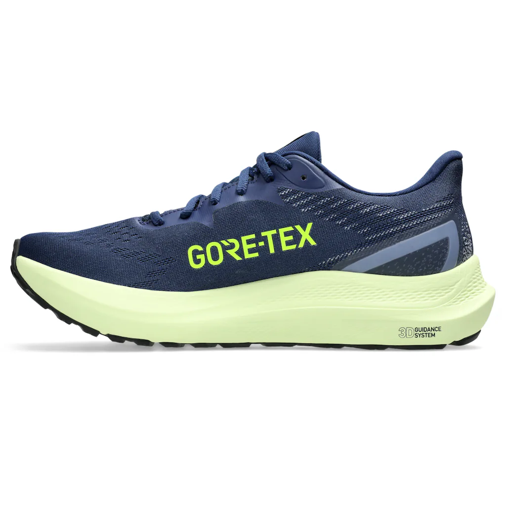 Asics Laufschuh »GT-2000 12 Gore-Tex« Für Mehr Stabilität Wasserdicht Auf Rechnung