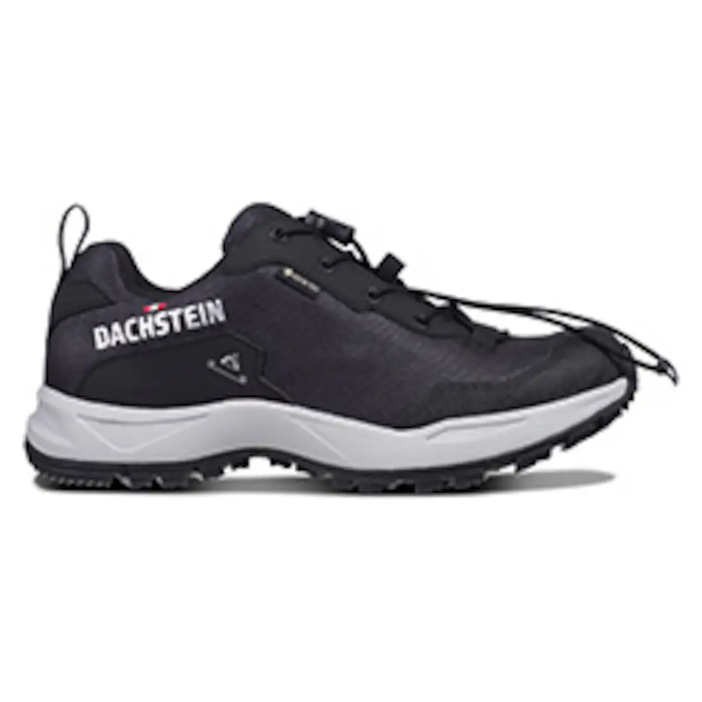 Dachstein Wanderschuh »DELTA ASCENT GTX WMN« Wasserdicht Auf Raten