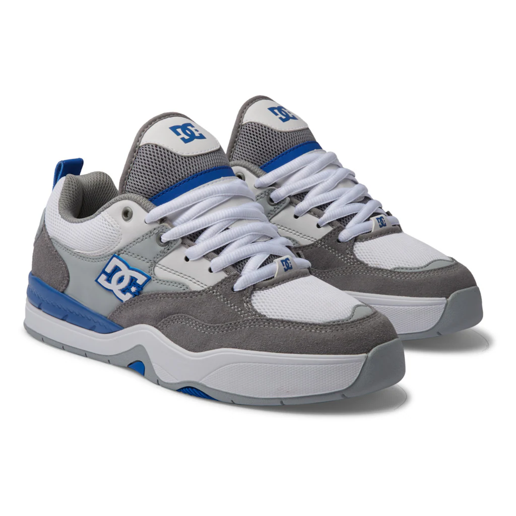 DC Shoes Sneaker »DC Ascend« ▷ für