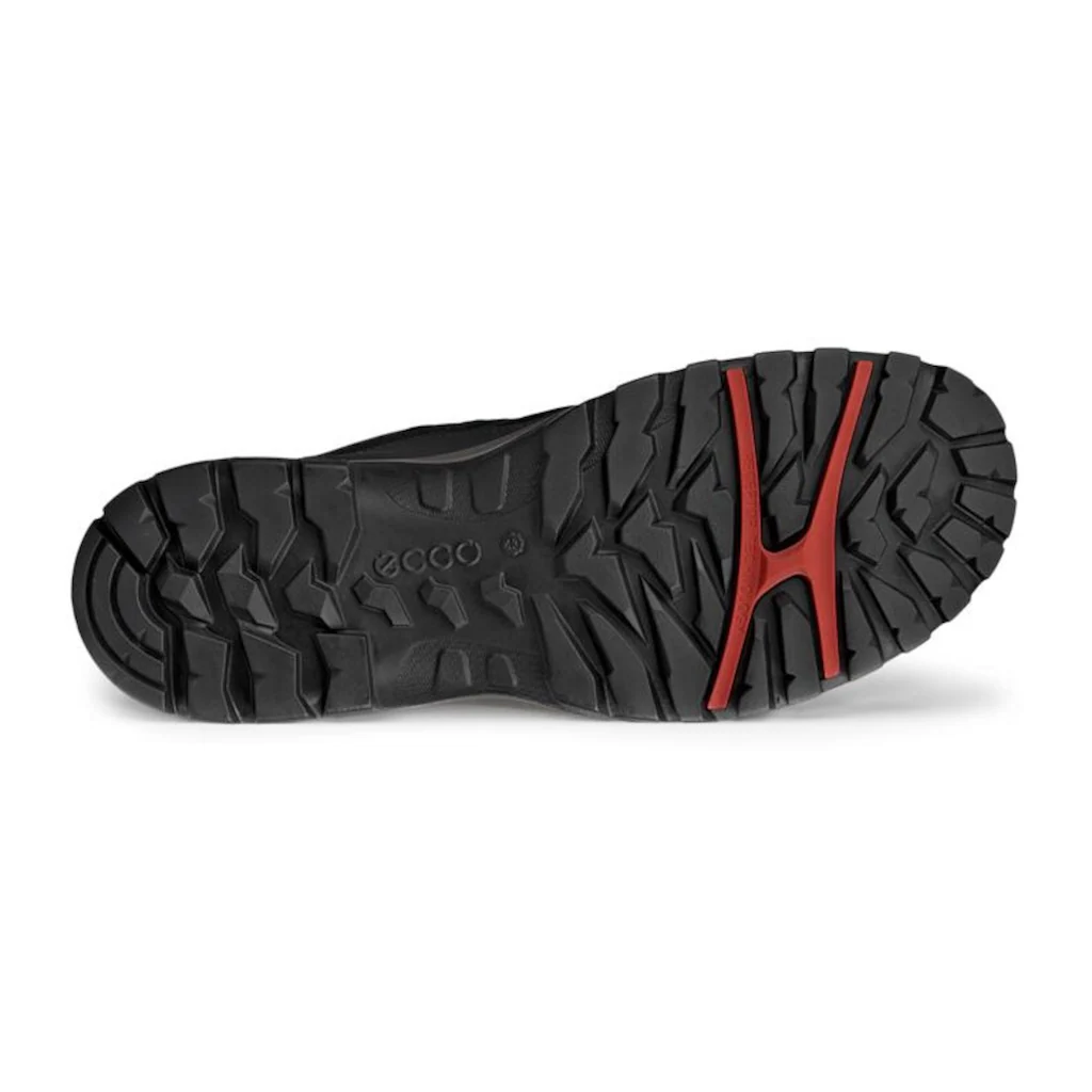 Ecco Schnürschuh »XPEDITION 3 M« Mit GORE-TEX Outdoorschuh Halbschuh Schnürschuh Bestellen