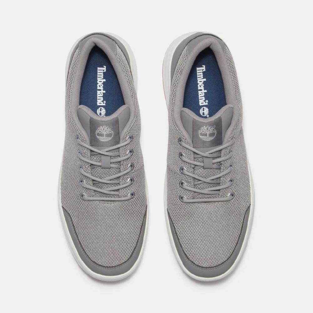 Timberland Sneaker »MAPLE GROVE LOW LACE UP SNEAKER« ▷ Für