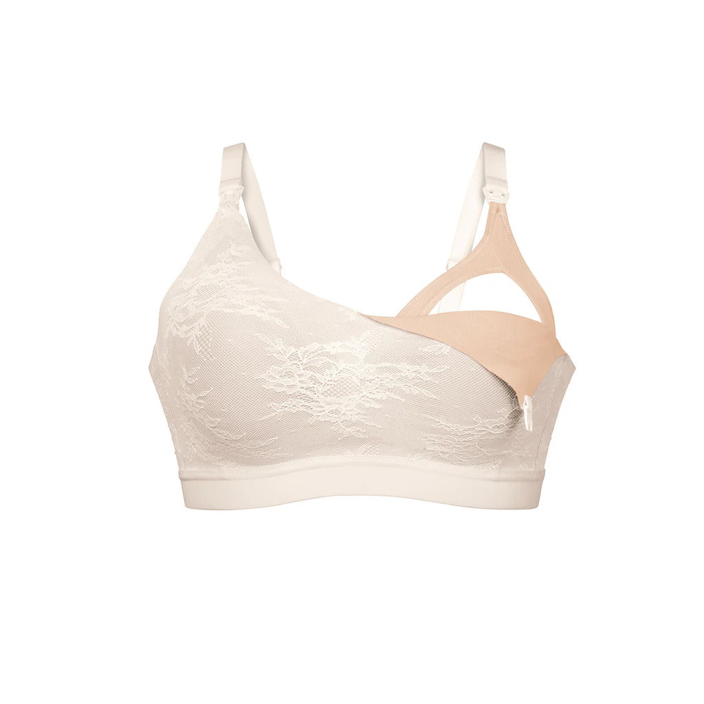 Anita Bustier »Still Bralette Essential Lace« online kaufen