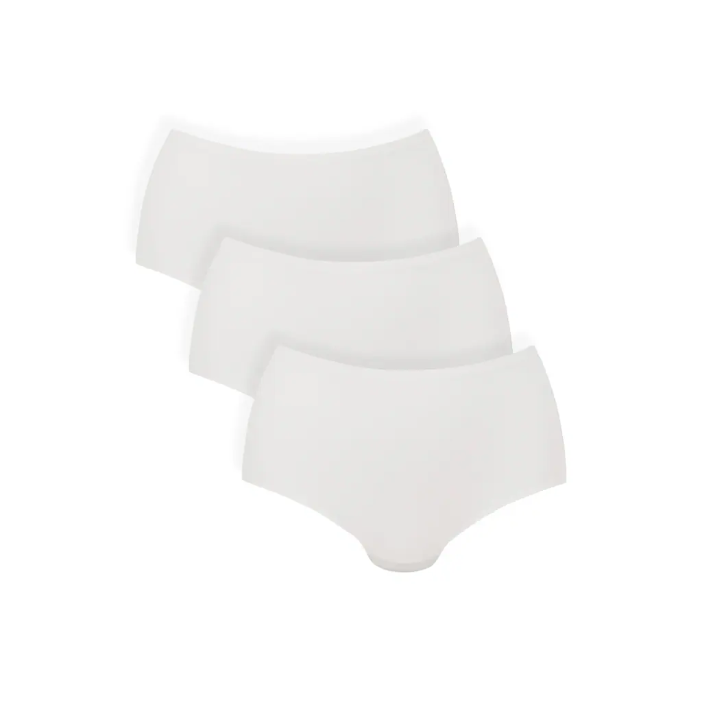 Anita Panty »Panty Essentials High Waist Briefs 3P 3er Pack« online kaufen