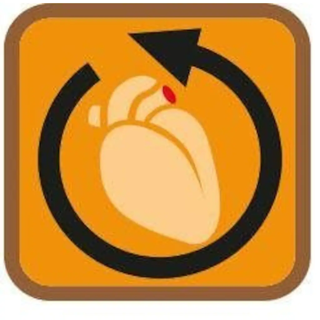 Janastyle Stützkniestrümpfe (Set 3 Paar) Fresh-Travel Kaufen