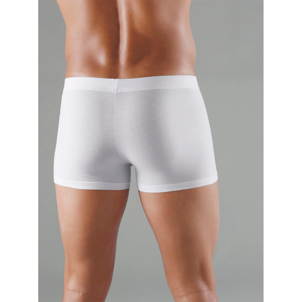 Kings Club Panty (5 St.) ▷ für