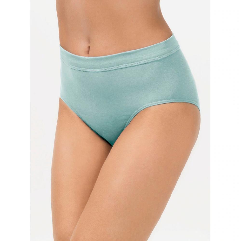 Wäschepur Taillenslip (2 St.) Bestellen