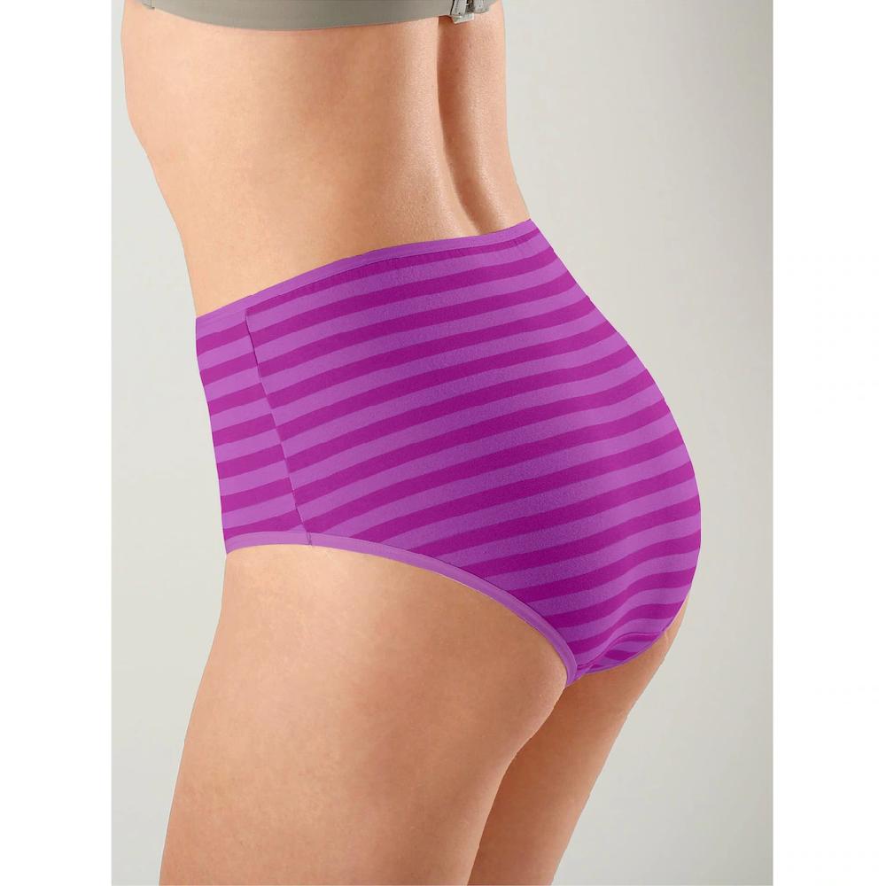 Wäschepur Taillenslip (4 St.) Online Kaufen