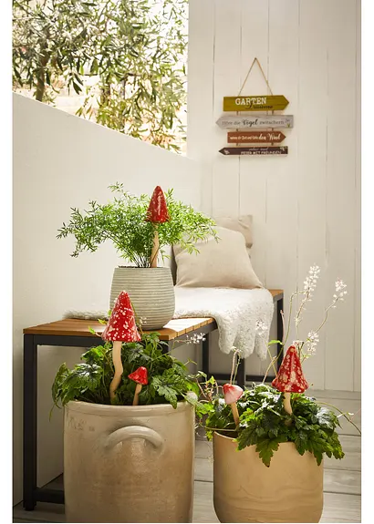 Bonprix Dekorative Deko Fliegenpilze Sorgen Für Entspannte Klänge