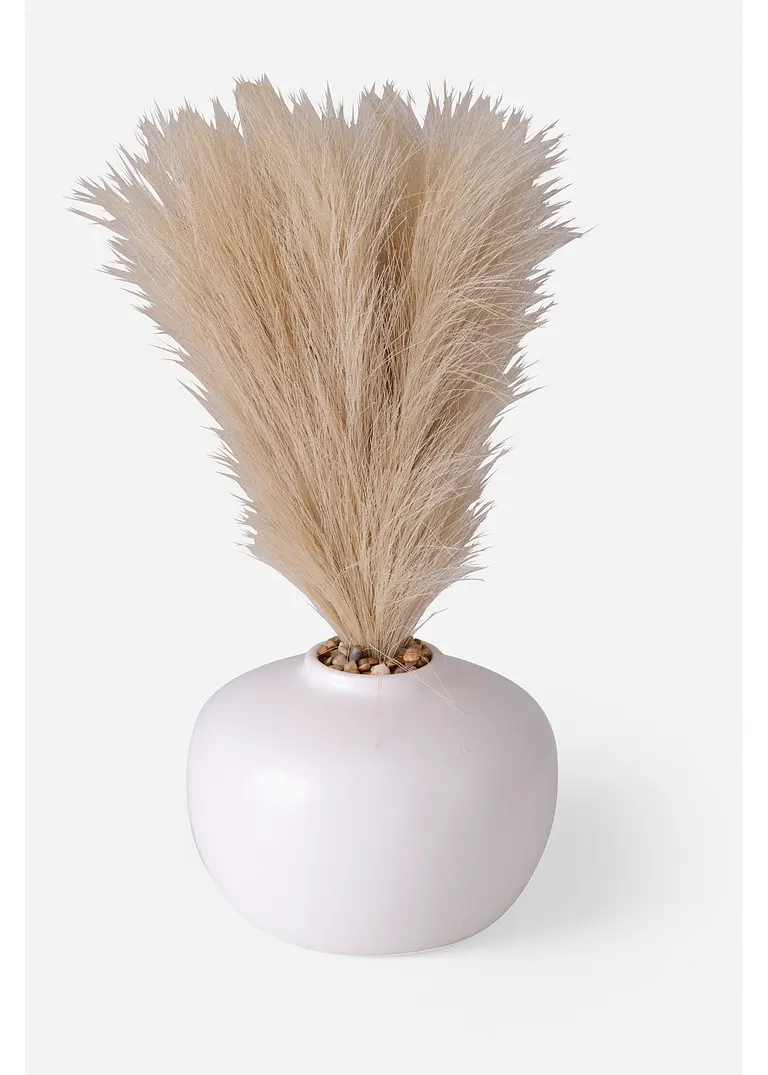 bonprix Elegante Vase mit Trockenblumen: Ein Hauch von Natur für dein Zuhause