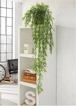 Bonprix Grüner Blickfang: Deko Kunstpflanze Bambus - Grün