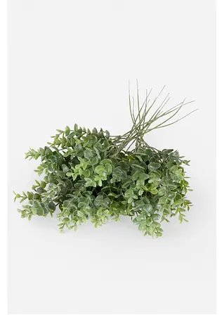 bonprix Naturgetreue Eukalyptus-Zweige - 15er Set Kunstpflanze für stilvolle Dekoration